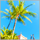 Summer avatar holiday 6